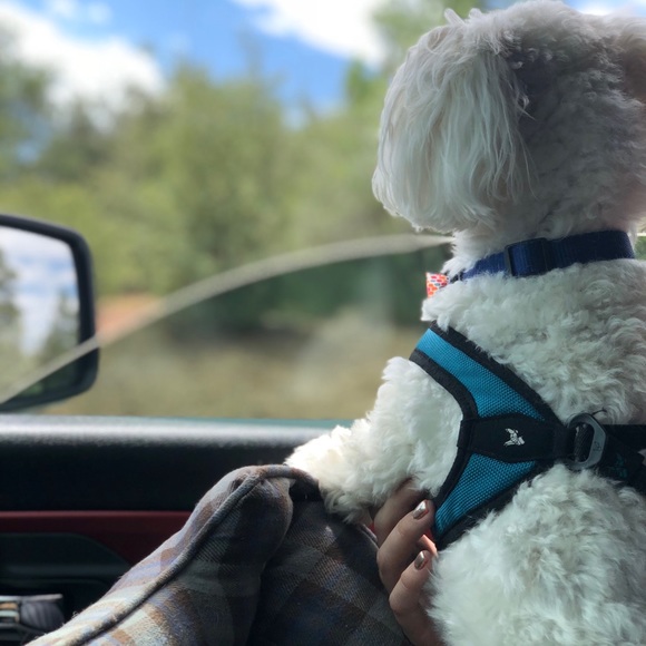 Meet your Posher, Vanessa - Picture 1 of 1